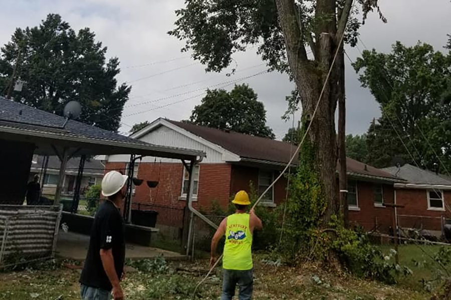 workers-pulling-down-tree-in-house-front-patio-louisville-ky