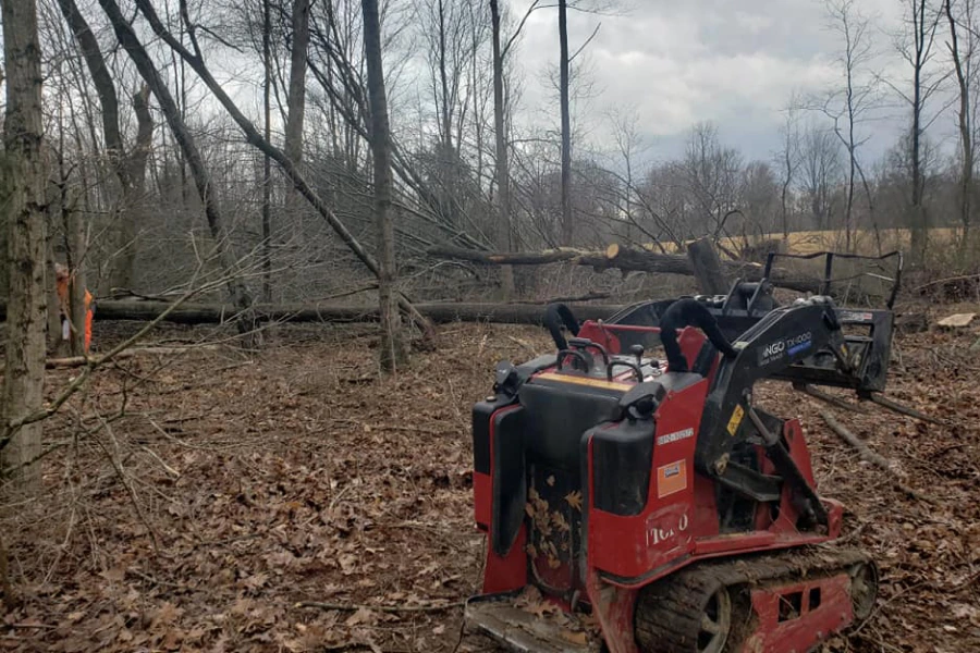 small red tree removal machine in woods brandenburg ky